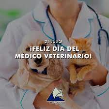 Uno de los roles que cumple el médico veterinario en las granjas es el control de los animales donde los asiste desde que están en gestación, nacimiento y crecimiento. O Xrhsths Vicerrectorado Academico Ucv Sto Twitter 21j Dia Del Medico Veterinario Feliz Dia Del Medico Veterinario En Especial A Los Egresados De Nuestra Ilustre Facultad De Ciencias Veterinarias De La Universidad