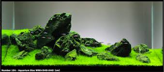 Pin On Aquascape