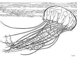 Pin On Art Coloring Pages Designs