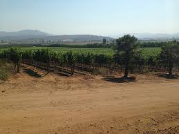 Escapes — Blu Aubergine Blog — blu aubergine