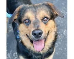 Aurora Shepherd's Instagram, Twitter & Facebook