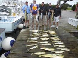 Archived Fishing Reports Obsession Fishing Outer Banks North Carolina  Sportfishing Sailfish