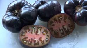 Black Beauty Tomato Hrseeds