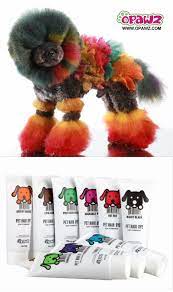 Thanks Aishin Pet Grooming School From Taiwan Share The Photo In Opawz We Focus On Luxury Pet Products Standing Creative Grooming Poodle Grooming Pet Grooming