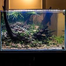 Another One Of The Great Aquascapes That Was Created And On Display Aquascape Aqua Tank Nano Aquarium