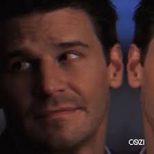 Happy Birthday David Boreanaz!