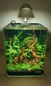 Nano Cube 10l Aquarscape 10l Aquarscape Cube Nano In 2020 Nano Aquarium Aquarium Fish Aquarium Fish Tank