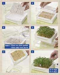 Check spelling or type a new query. Kiepenkerl Keimsprossen Microgreen Garden Cressbar Starter Set In