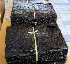 Gim ltd company is one of the leading companies in the arms and armament industry in the republic of serbia. Datei Korean Laver Gim 01 Jpg Wikipedia