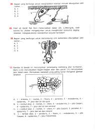 P 1 p 2 dan v 1 v 2 e. Latihan Soal Ukk Biologi Kelas 8 Infoku