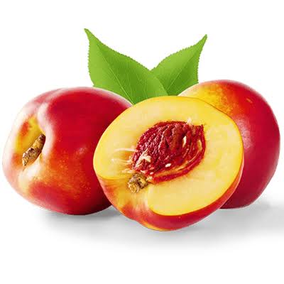 نهال شلیل استارک سان گلد