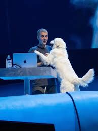 Eli - Justin Bieber is mid-performance, thousands of people screaming every  word. Then Pesto walks out and just calmly takes a seat on stage like it's  his show. No tricks, no chaos,