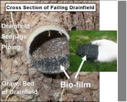 Gary sprague is a master plumber with more than 25 years of experience. Diagnosing A Septic Tank Drainfield Problem Septic Tank Problems Septic Tank Leach Field