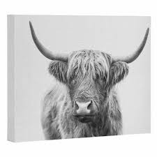 Black And White Bull Canvas Society6 Highland Bull Photograph Print Art Prints Painting Edges Prints