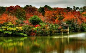 Beautiful Scenes For Desktop Beautiful Autumn Scenes 1920x1200 Wallpapers 1920x1200 Wallpapers Autumn Scenery Fall Scenery Pictures Forest Landscape