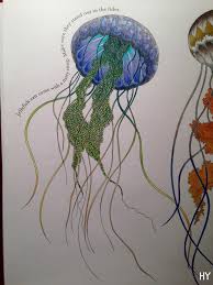 Coloured In The Jelly Fish From The Animal Kingdom Colouring Book Animal Kingdom Colouring Book Millie Marotta Coloring Book Millie Marotta Animal Kingdom