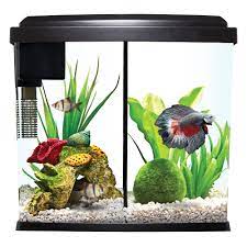 The off chance that you are needing more than one betta fish in a tank, an isolated tank is a decent alternative. Top Fin Liquidy Split Aquarium Kit Fish Starter Kits Petsmart