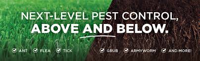 In the winter months, they do not actively grow, but become weed control begins with proper management practices, which encourage a dense, healthy turf. Amazon Com The Andersons Duocide Professional Grade Lawn Insect Control Covers Up To 4 500 Sq Ft 18 Lb Health Personal Care