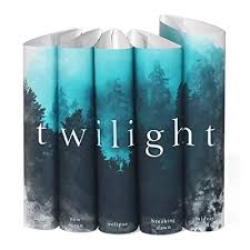 The depth of love between the main characters is a bit unsupported and unbelievable in the first book, but it is a fantasy after all. Buy Juniper Books Twilight Saga Custom Dust Jackets Only Books Not Included For Your Five Volume Hardcover Book Set Online In Indonesia B08gcwdftc