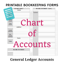 70 Comprehensive Single Chart Of Accounts