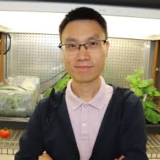 HighFive Cell Lines for Recombinant Protein Production