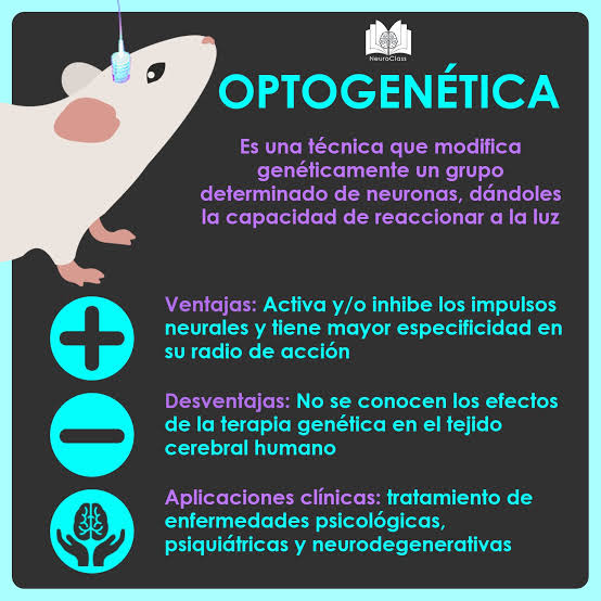 💡La optogenética (OG) es una técnica para insertar información genética de proteínas sensibles a la luz en las células cerebrales, creando cambios en las neuronas que las hacen fotosensibles.🔌 👇👇Te d