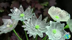 We did not find results for: Fused Recycled Glass Flowers Youtube
