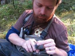 River ecosystems show 'incredible' initial recovery after dam removal