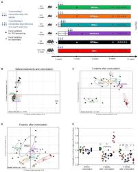 The wide variety of accessories that people can purchase to complete their games or advance through these features adds to the. Frontiers Comparative Evaluation Of Microbiota Engraftment Following Fecal Microbiota Transfer In Mice Models Age Kinetic And Microbial Status Matter Microbiology