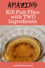How To Trap And Get Rid Of Fruit Flies Fruit Flies Homemade Fruit Fly Trap Fruit Fly Trap Diy