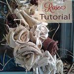 A splash of color to start the weekend . Valley Forge Flowers Vfflowers Profile Pinterest