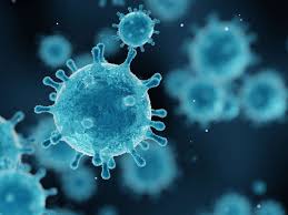 Coronavirus in hessen unterstutzung fur risikogruppen welt. Corona Fulda Liegt In Inzidenz Liste Auf Platz 1 Aller Landkreise Der Alten Bundeslander Fulda