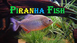 Pin On Places To Visit