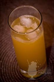 Recette Havana Zombie Un Cocktail Alcoolise Recette Cocktail Facile Recette Cocktail