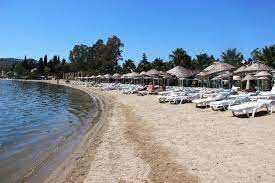 187.000 m2 alanda kurulu tesisin mavi bayraklı özel plajı, 133 m2 açık havuzu, 4 su kaydırağı ve çocuk havuzlarının tadını çıkarabilirsiniz. Bodrum Plajlari Ve Beachleri Tercih Yaparken Dikkate Almaniz Gereken Ozellikleri Ile 19 Yer