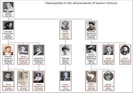 Queen victorias family tree with hemophilia genetic markers. Photographic Family Tree Of Queen Victoria Afflicted With Haemophilia Download Scientific Diagram