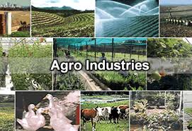 Free webinar on improving food packaging practices in caricom. State Govt To Invest 305 Lakh For Agro Based Small Scale Industries In Meghalaya