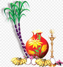 243 likes · 2 talking about this. Thai Pongal Wish Greeting Happiness Png 891x950px Thai Pongal Birthday Flower Flowering Plant Food Download Free