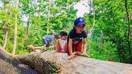 Dunes Day Camp @ Field Station
