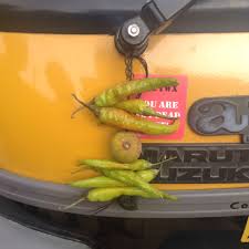 Seven green chilies and a lemon tied on a thread and hung outside the door are believed to ward off the evil eye of alakshmi. Nimbu Mirchi Totka The Rihla