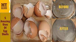 5 Amazing Egg Shell Hacks | Never Throw An Egg Shell Again|How To Use Egg  Shells In Daily Activities - Youtube