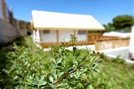 Of course, pictures of naked people can be seen here. Glamping Zelde Sovinje Tkon Insel Pasman