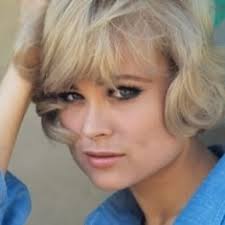 Barbara Bold's Instagram, Twitter & Facebook