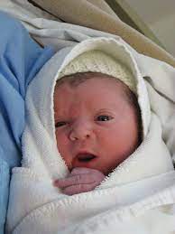 Pretty Baby Newborn Cute Newborn Baby Boy Newborn Baby Cute Newborn