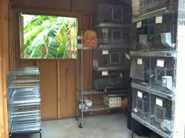Breeding Room Room Home Appliances Bird