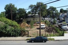 That's where we come in! Green Thumb Lawn Care Of Cny Edukasi News