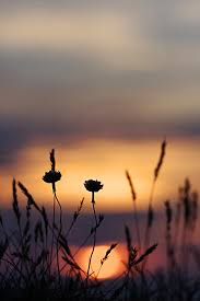 Sunset Night Landscape Beautiful Wallpapers Sunset