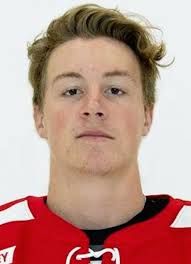 Player photos for the 2019-20 Penticton Vees at hockeydb.com