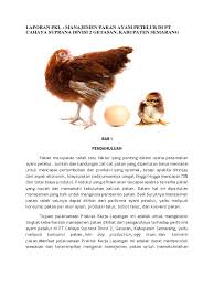 Tidak cukup disitu saja, kualitas telur yang. Laporan Pkl Manajemen Pakan Ayam Petelur Pdf