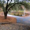 It features a rough rustic mountain terrain filled with scrub brushes, trees and abundant thick red rocks and red soil. 3